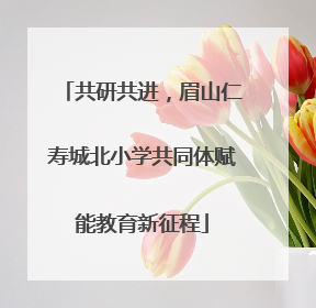 共研共进，眉山仁寿城北小学共同体赋能教育新征程